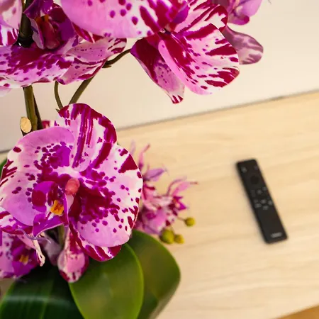 Marea 住宿加早餐酒店 *